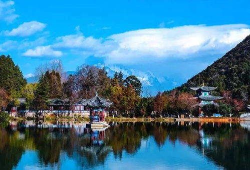 黑龍江省濕地旅游產(chǎn)品開發(fā)的機遇、挑戰(zhàn)與路徑分析