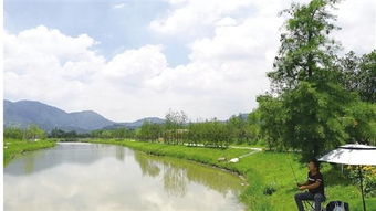 從昔日洼地到今日景區(qū) 村企抱團，繪就旅游開發(fā)新畫卷