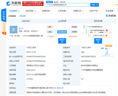 洪鋒卸任廣州小米信息服務法人等職位，信息技術咨詢服務業務調整引關注